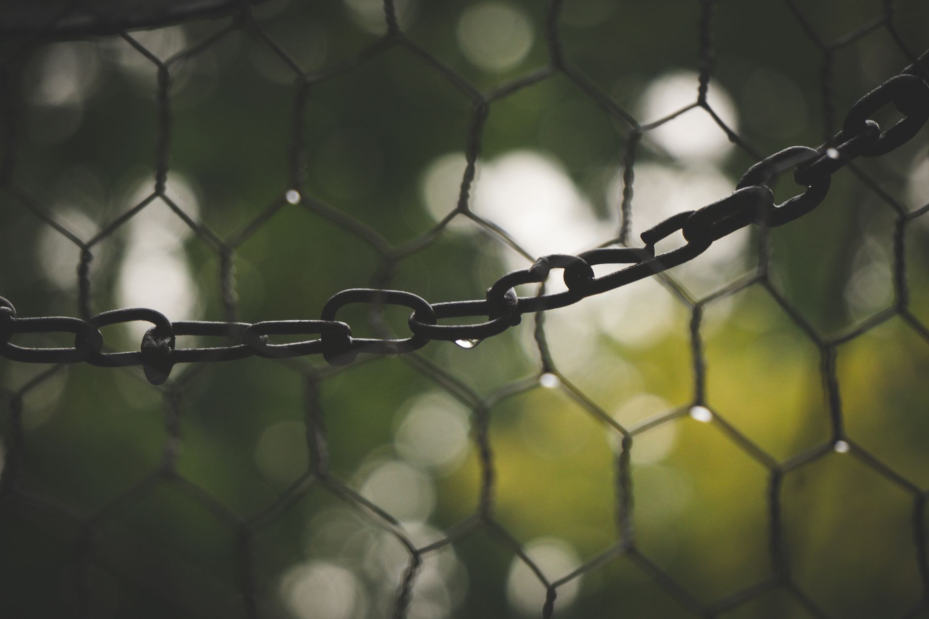 chain-of-thought